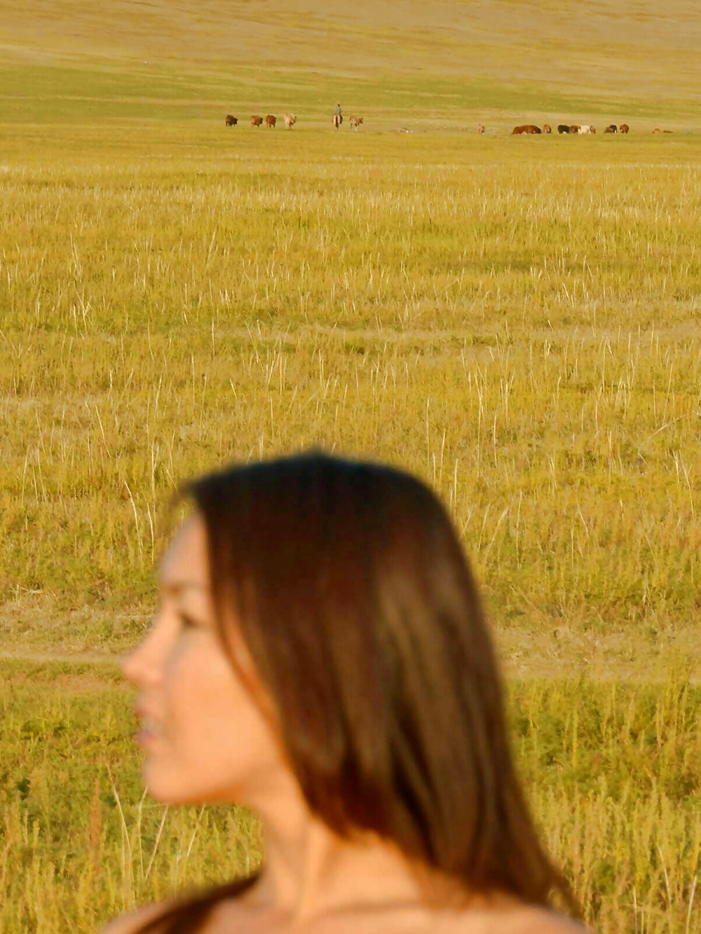 Femme Dans La Steppe Mongole #29448727