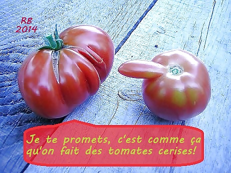 Subtítulos en francés 21 rb
 #39281472