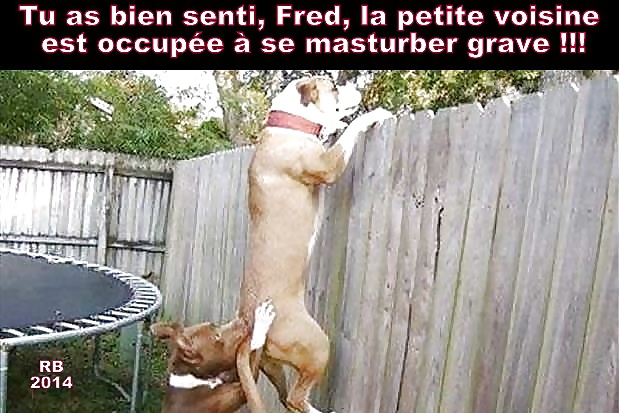 Subtítulos en francés 21 rb
 #39281513