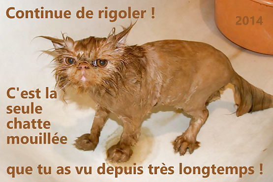 Subtítulos en francés 21 rb
 #39281544