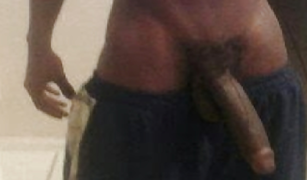 Mi polla 
 #39632064