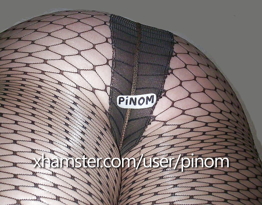 Sikici pinom turco
 #34827156