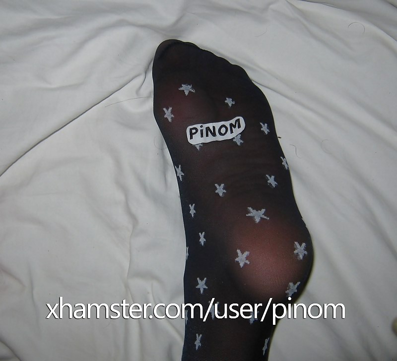 Sikici pinom turco
 #34827162