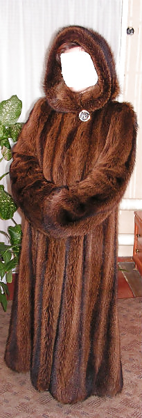アライグマの毛皮のコート
 #31837864