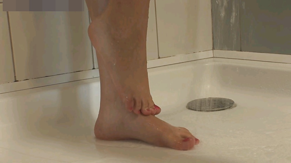 Monik pies
 #23195494