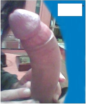 Minhas fotos
 #31402619