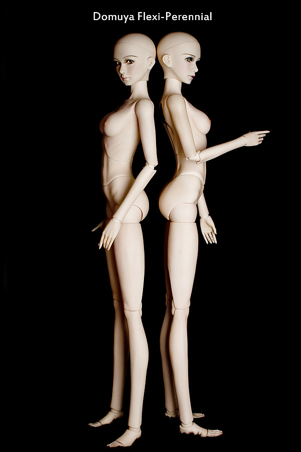 Hot toys 7
 #24220002