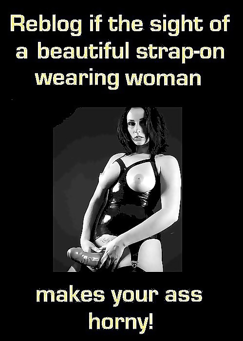 Fave Reblogs #38715899