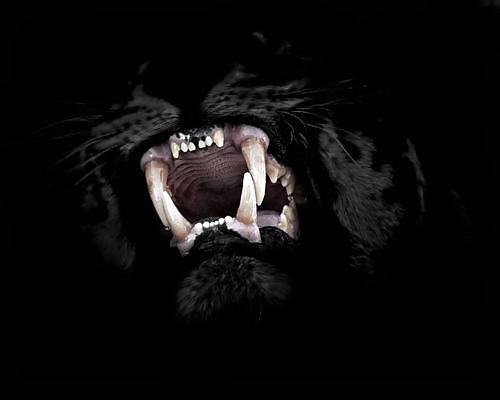 Just my way  #31063738