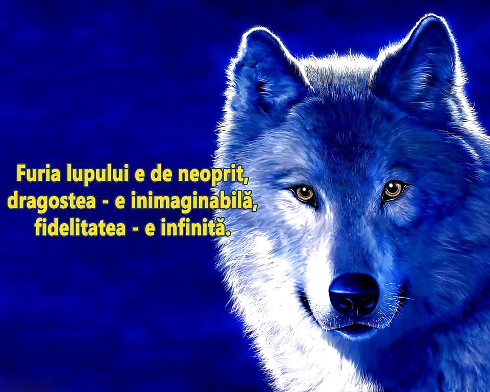 Just my way  #31063846