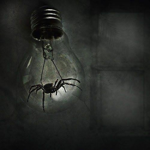 Just my way  #31063913