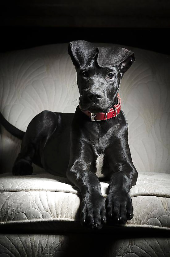 Just my way  #31063945