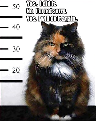 Just my way  #31063974