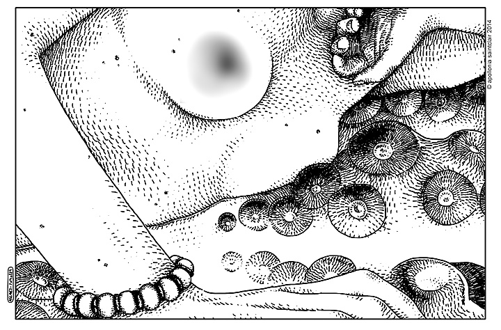 Restricted due to facebook (by Apollonia Saintclair) #25822239