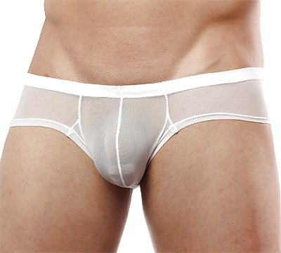 N2N Net Brief #34994173
