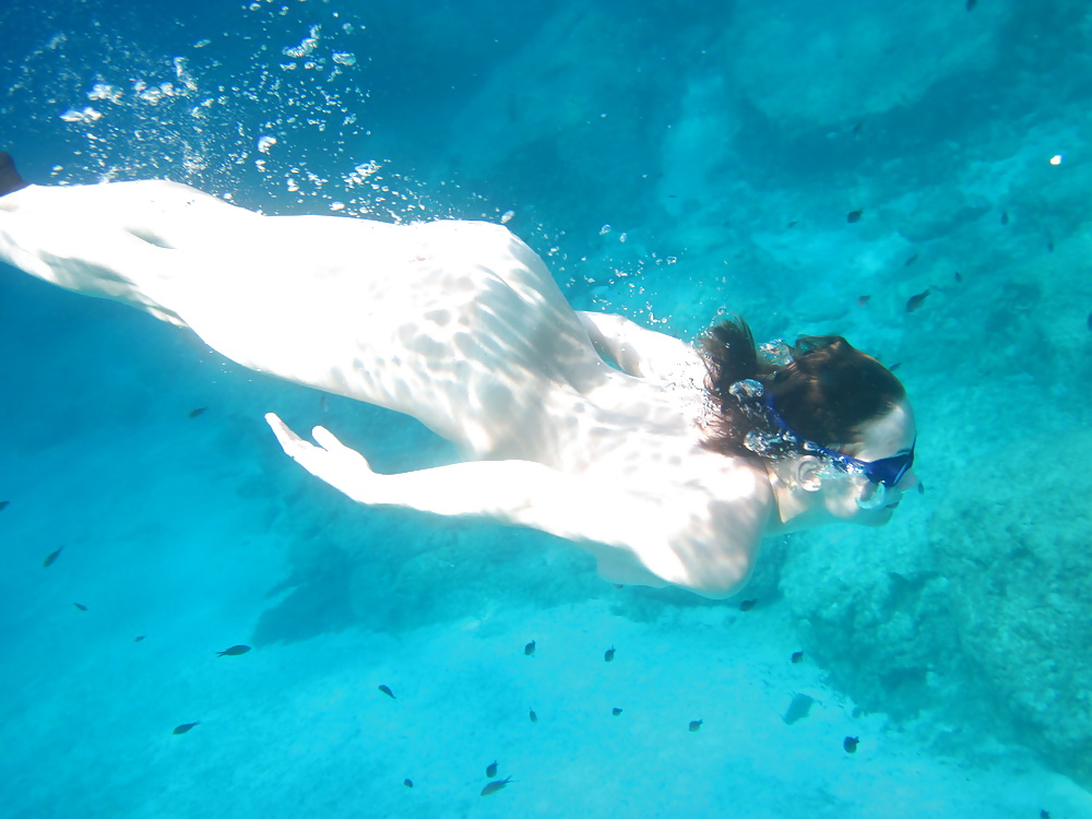 ドルフルーダー xix
 #32654433