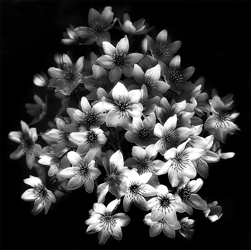 今週もよろしくお願いします。
 #28598214