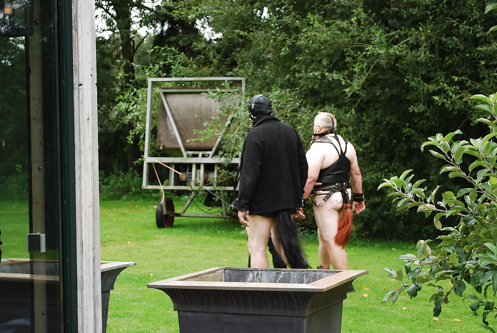 Mrs-c my slaves part 101
 #31802196