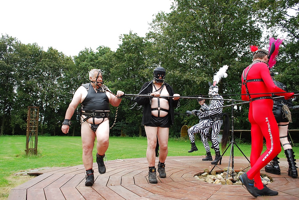 Mrs-c my slaves part 101
 #31802198