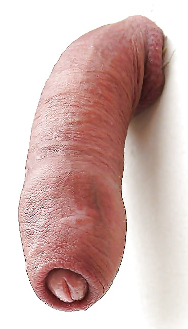 Hamsome Cocks I Fancy #23593885
