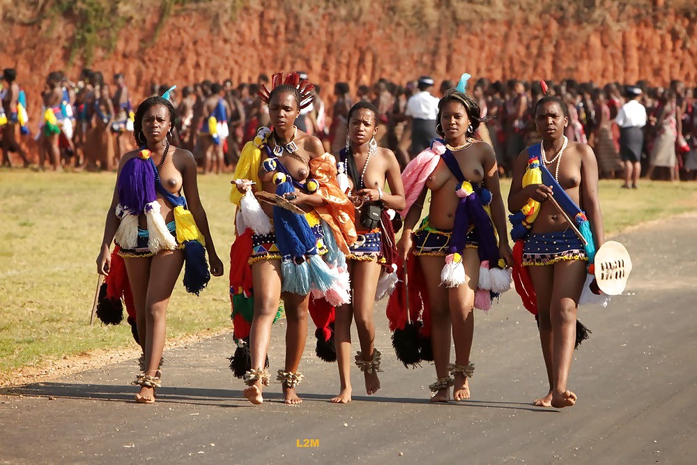 Exóticas bellezas tribales africanas 
 #23490828