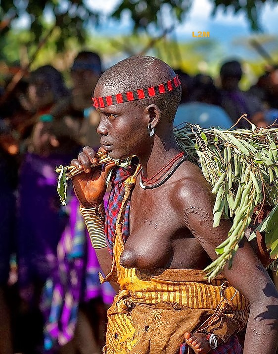 Exóticas bellezas tribales africanas 
 #23491287