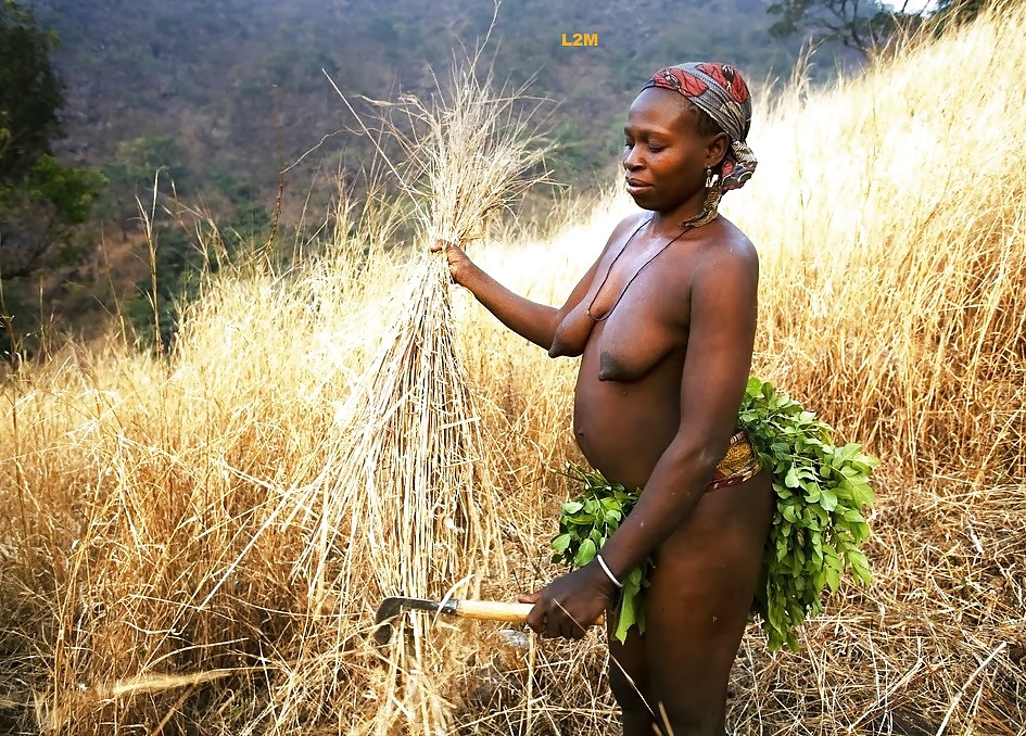 Exotic African Tribal Beauties  #23491377