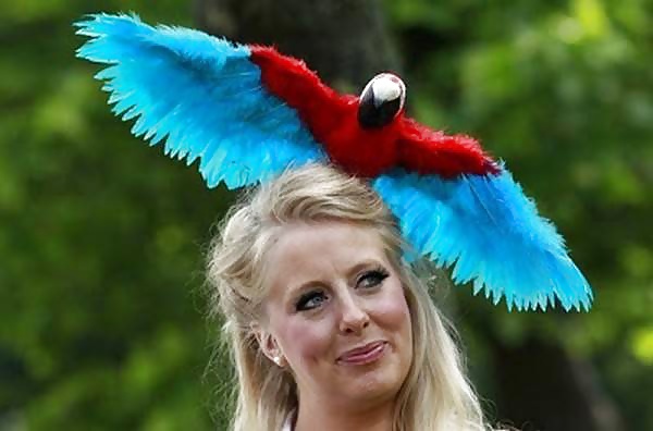 Wierd Hats #31560291