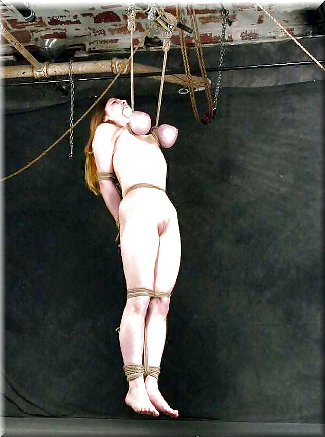 Lion's: anatomia del seno-tortura (4)
 #26769266