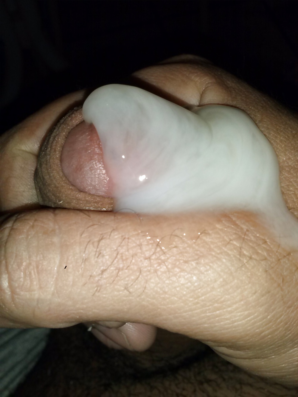 ゴザンド
 #30776903