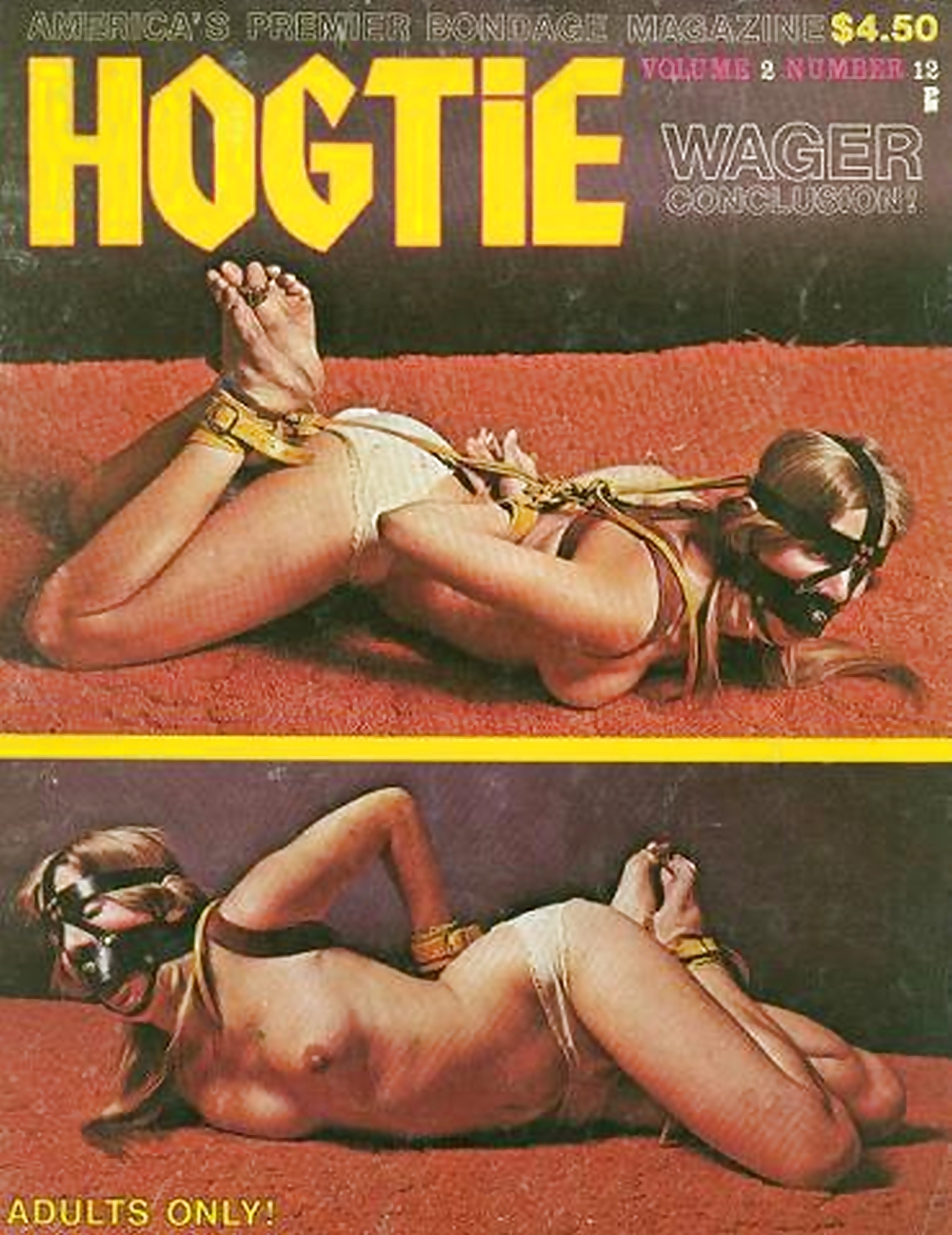 My Vintage Bondage Magazines (covers ) Part 3 #24512769