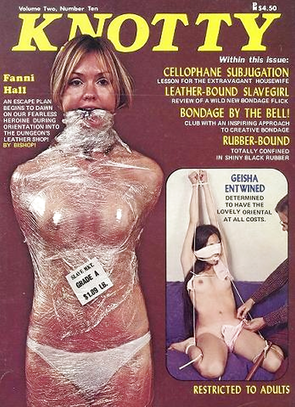 Mes Magazines De Bondage Cru (couvertures) Partie 3 #24512957