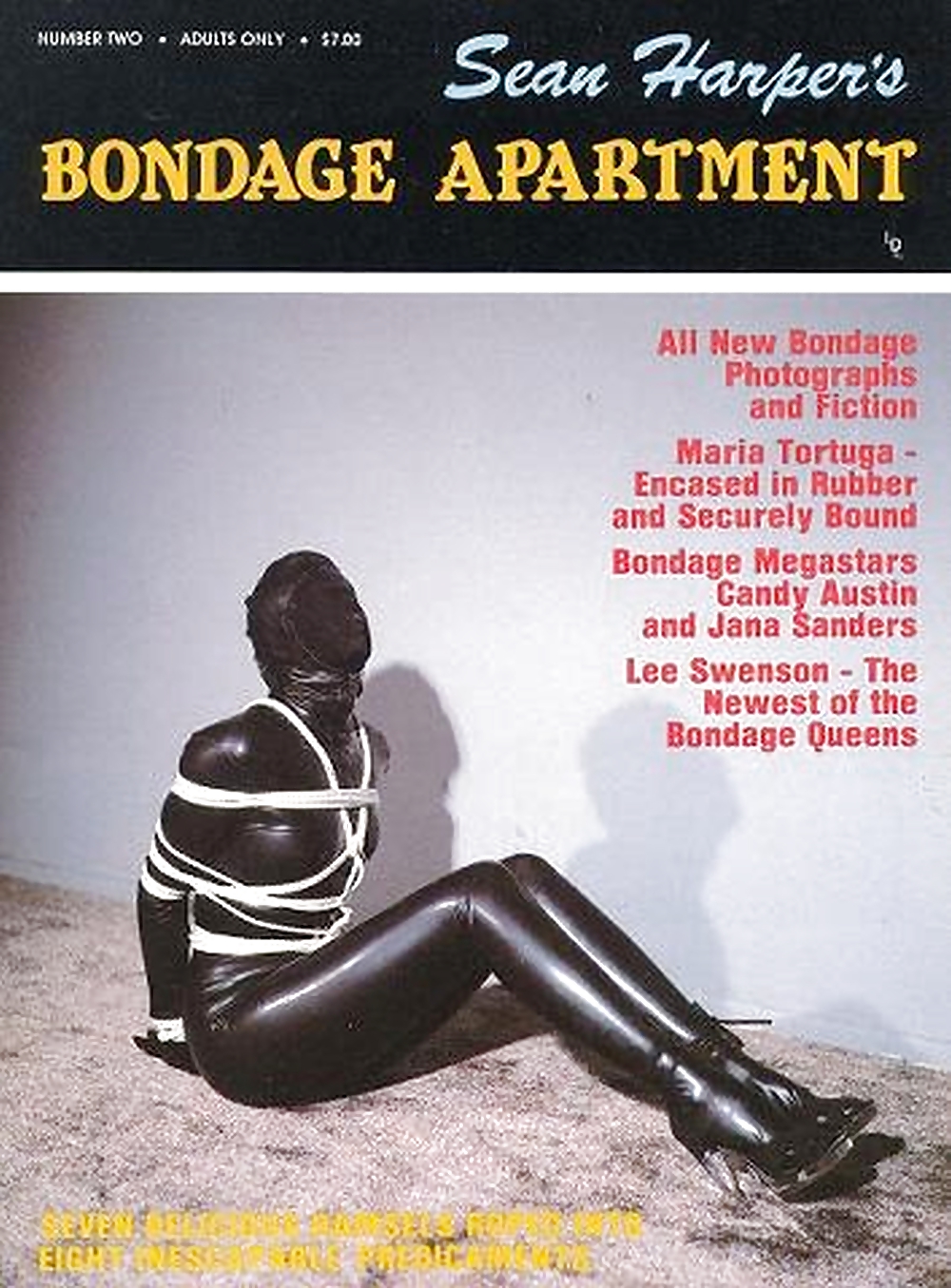 Mes Magazines De Bondage Cru (couvertures) Partie 3 #24513420