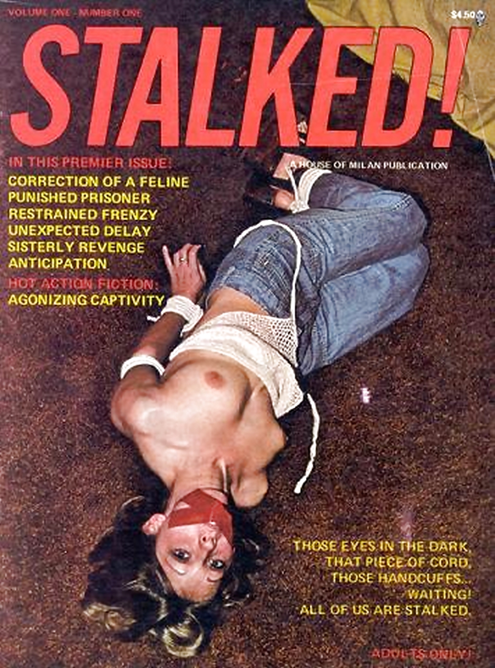 My Vintage Bondage Magazines (covers ) Part 3 #24513474