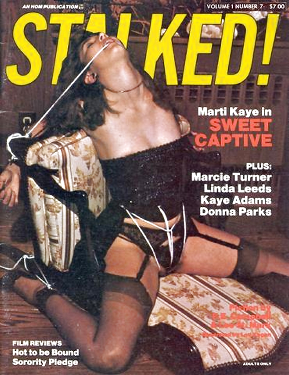 My Vintage Bondage Magazines (covers ) Part 3 #24513543