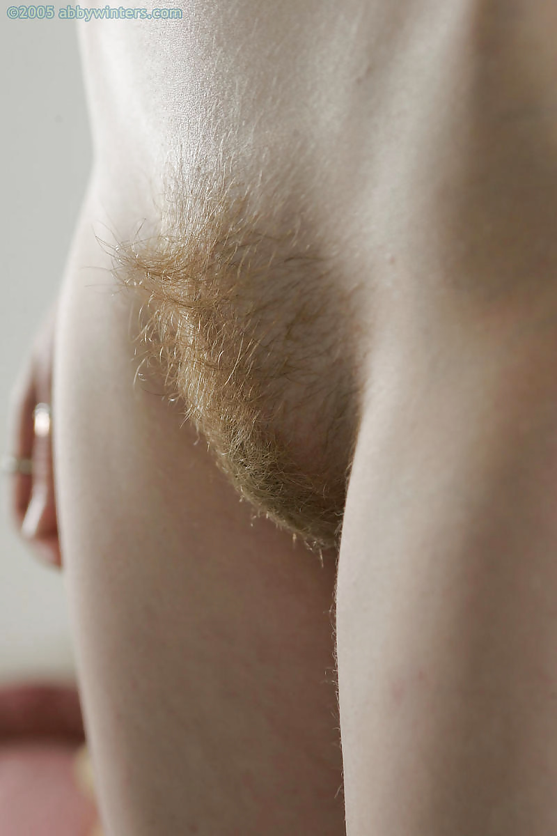 Peludas favoritas 1
 #35149288