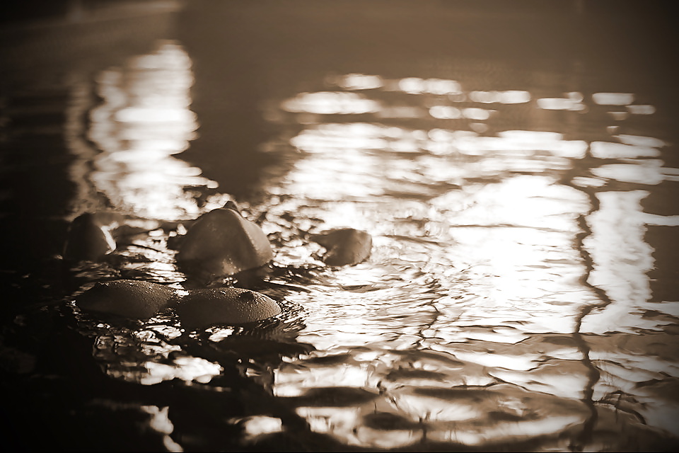 Girls by furfur
 #29168455