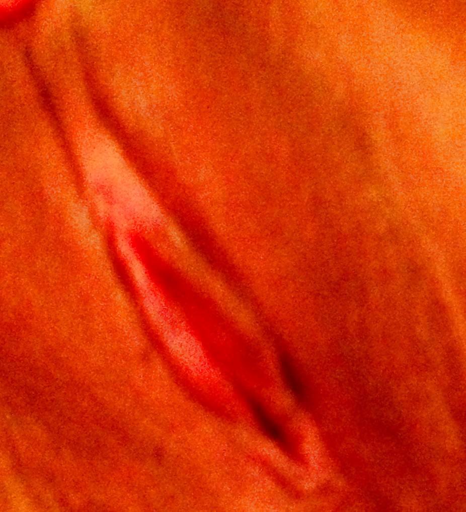 Regia (oyo) biper 26
 #36167745