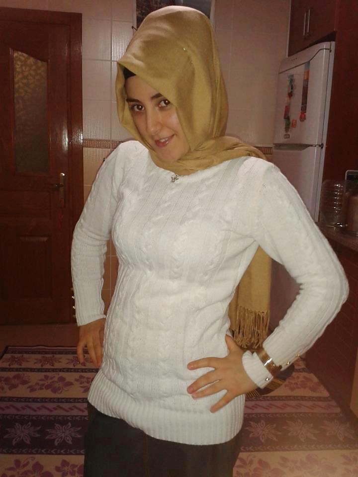 Turco arabo hijab turbanli asian kapali
 #37100816