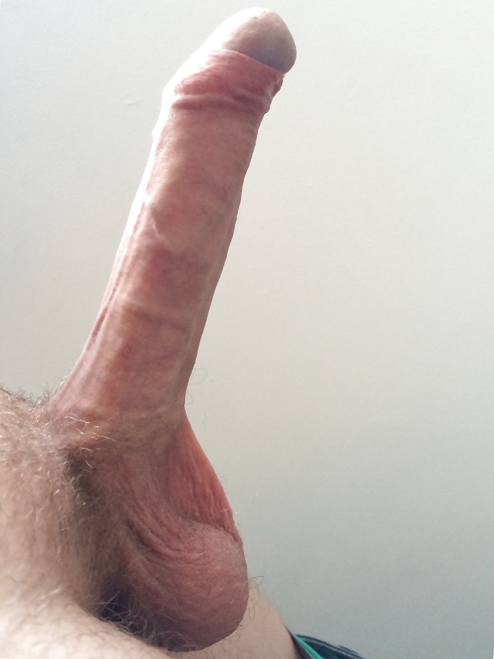 私の硬い白いチンコ 
 #32173450