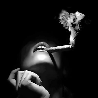 禁煙....
 #24273529