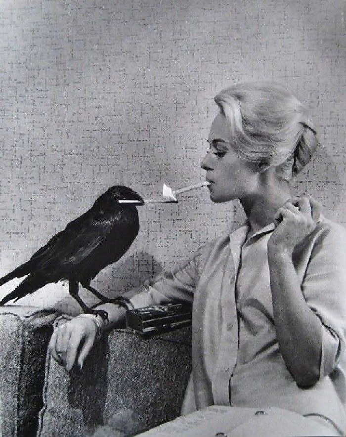 禁煙....
 #24273579