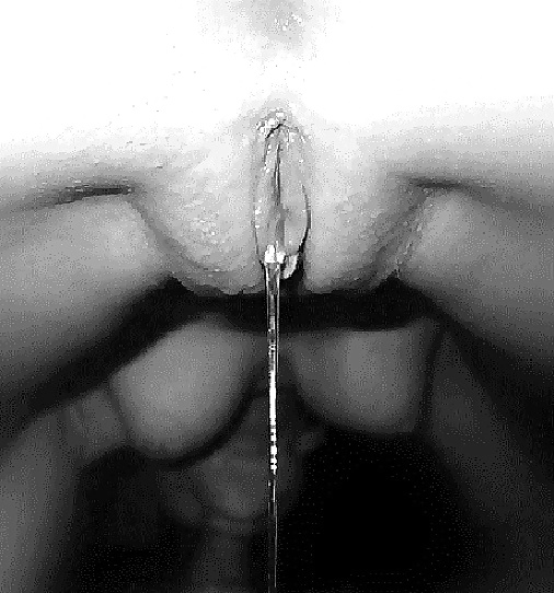 Hot And Wet Pussy  #35609573