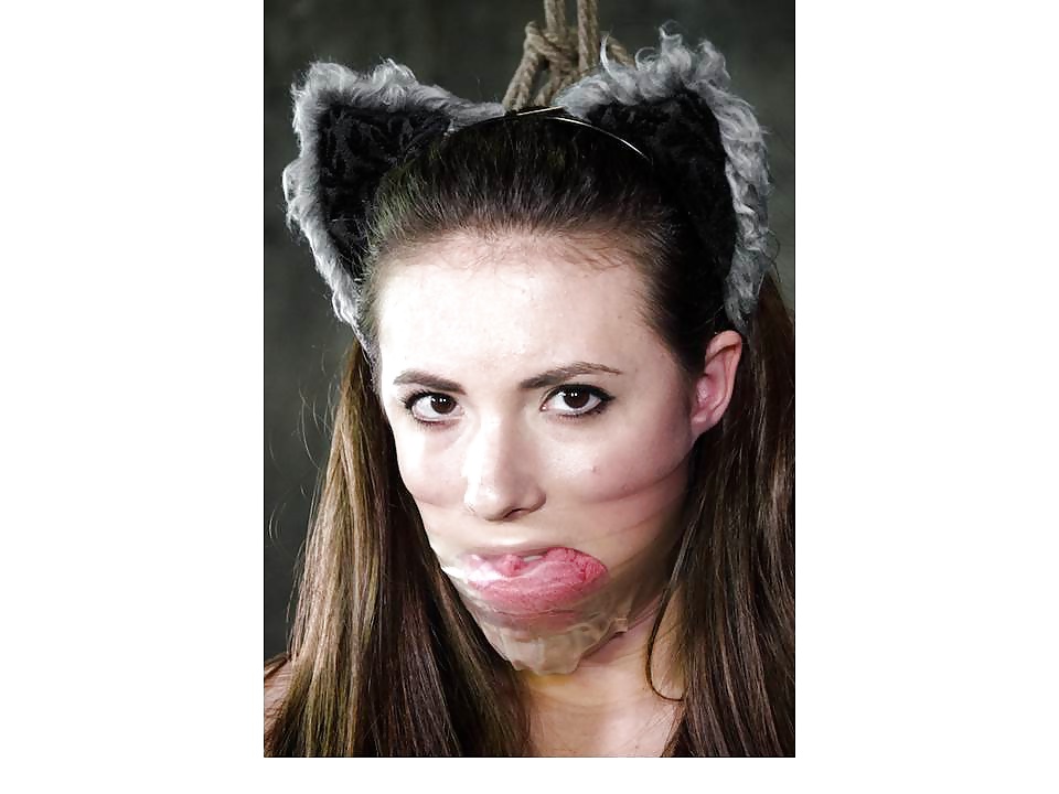 Wer Mag Meine Katze #34103978