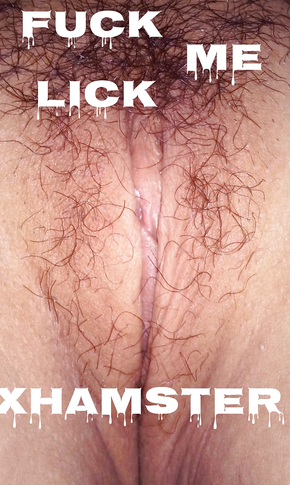 プッシー
 #38844892