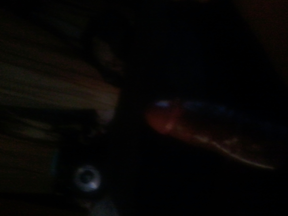 Dis meat #34776419