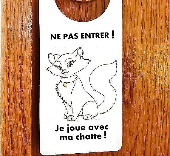 Subtítulos en francés 23 rb
 #39531134