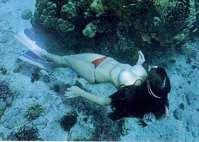 Chicas subacuáticas
 #29975897