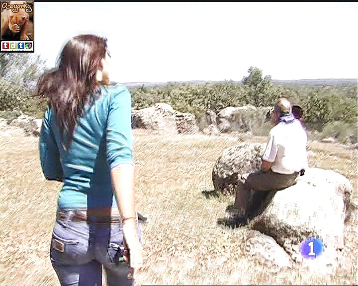 Monica Hernandez Journaliste Avec Un Bon Cul #31213491