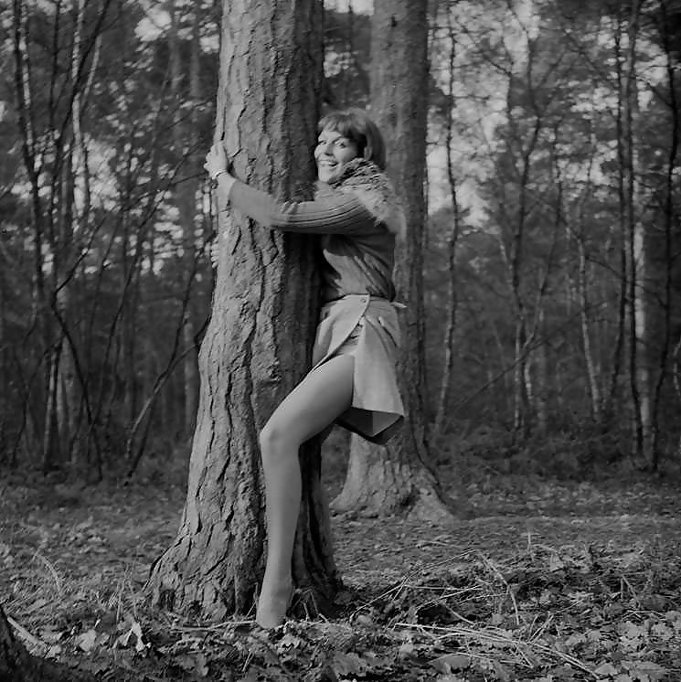 La signora inglese del 1960 mostra le gambe
 #32791479